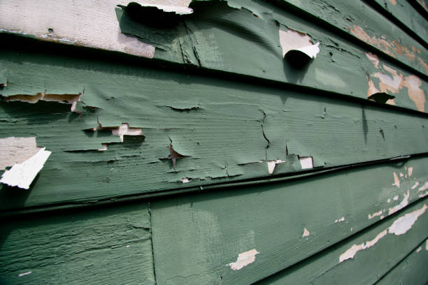 Best Demolition Debris Removal  in Pasadena, CA